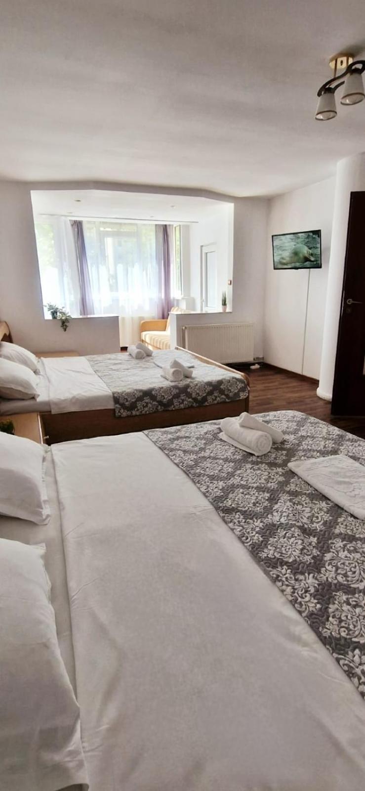 Stephanie Apartment-Centru Civic Brasov Bagian luar foto