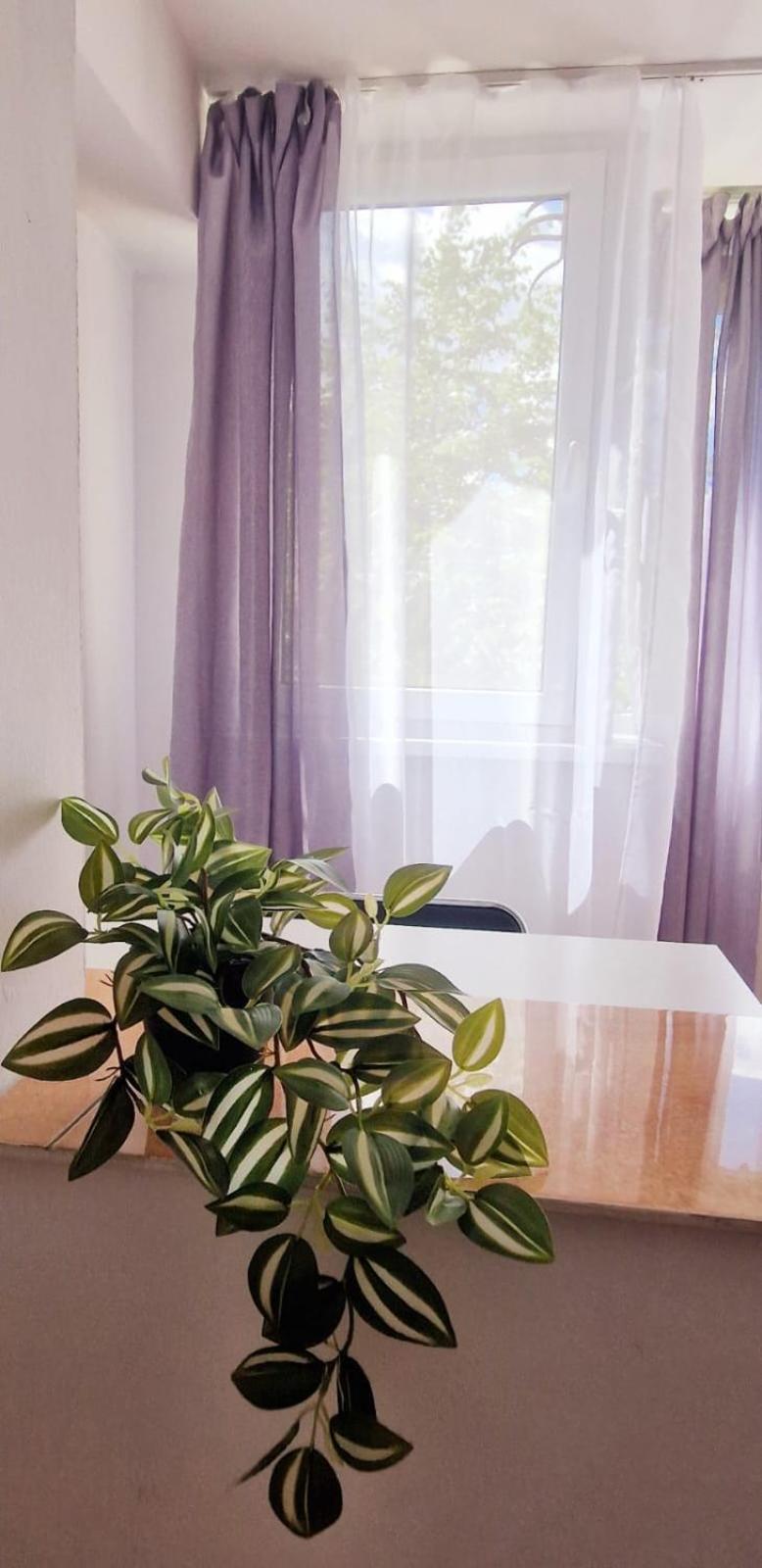 Stephanie Apartment-Centru Civic Brasov Bagian luar foto