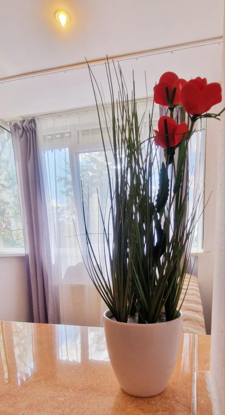 Stephanie Apartment-Centru Civic Brasov Bagian luar foto