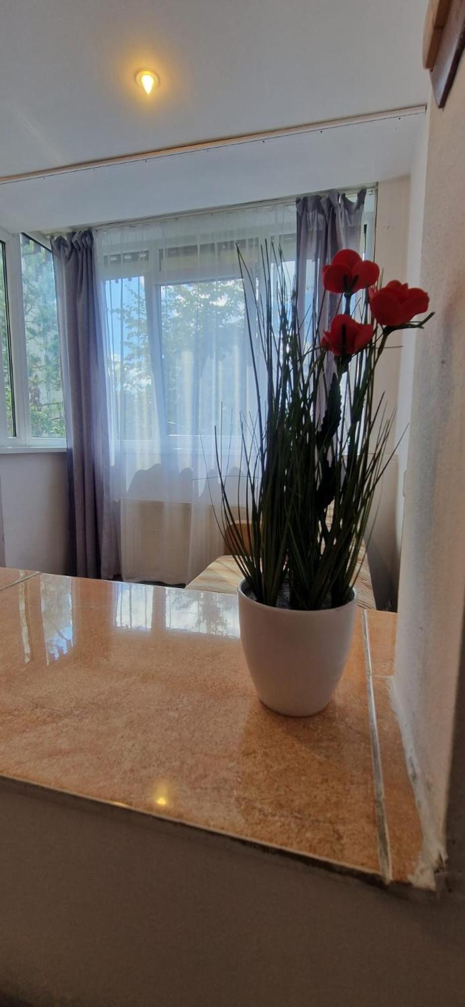 Stephanie Apartment-Centru Civic Brasov Bagian luar foto