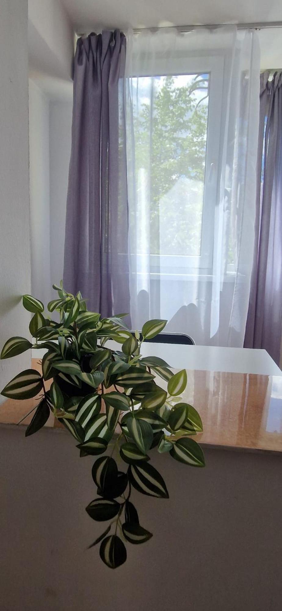Stephanie Apartment-Centru Civic Brasov Bagian luar foto