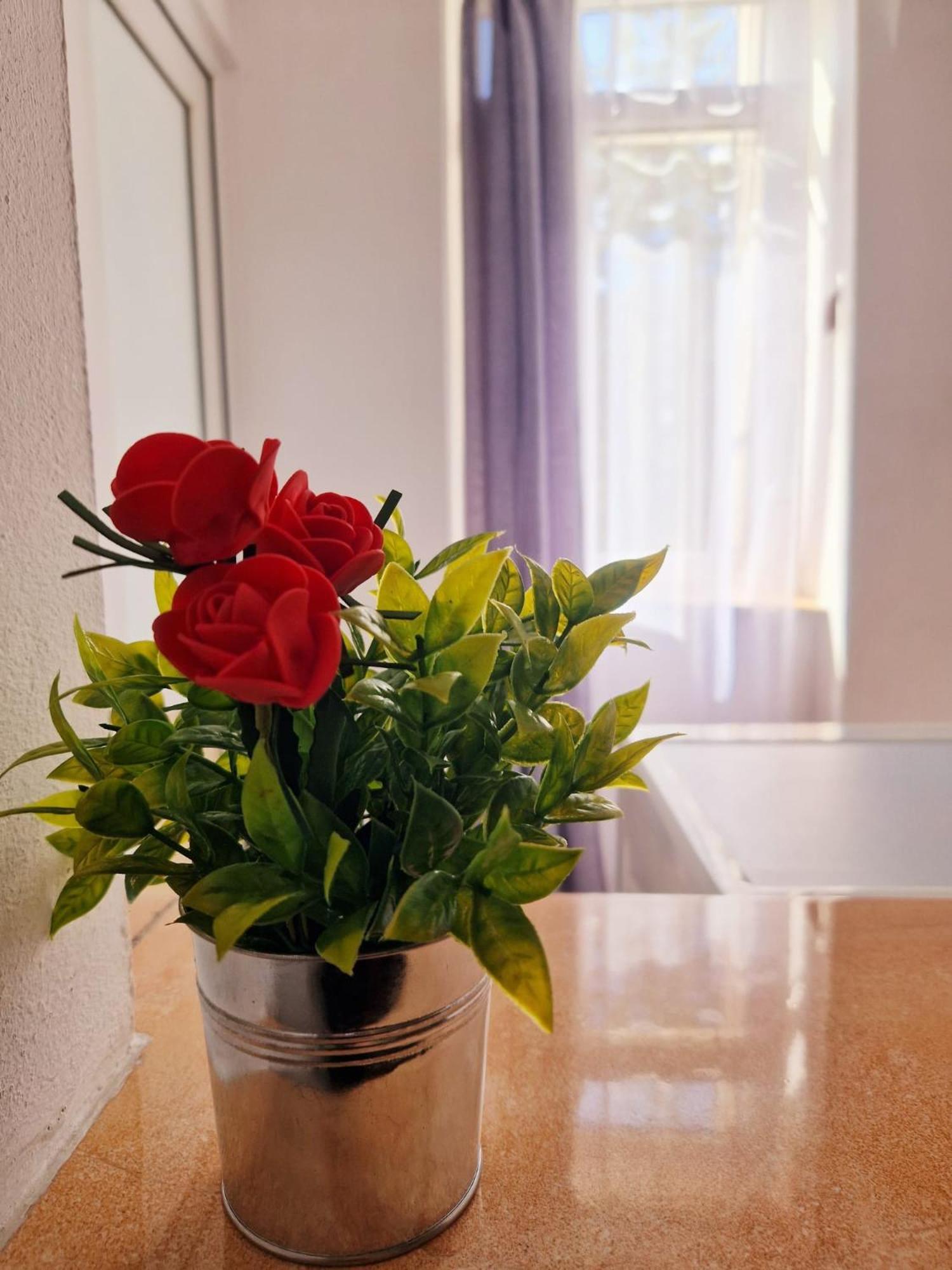 Stephanie Apartment-Centru Civic Brasov Bagian luar foto